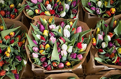 Blumenstrauß