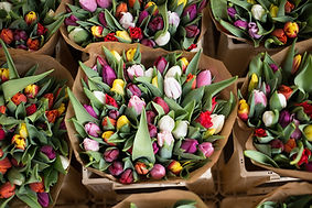 Bouquet of Flowers