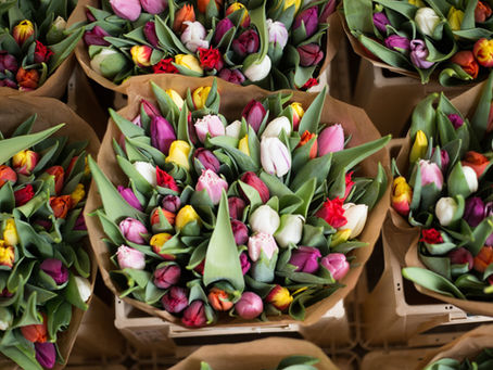 Floral arranging, champagne and brunch. It’s all part of Bubbles and Blooms at Newton’s Saddlerack.
