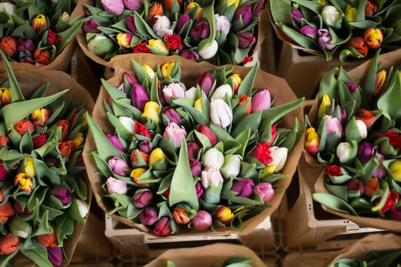 Bouquet of Flowers
