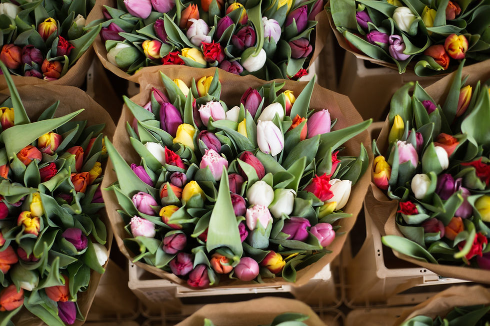 Buquês de Tulipas Coloridas