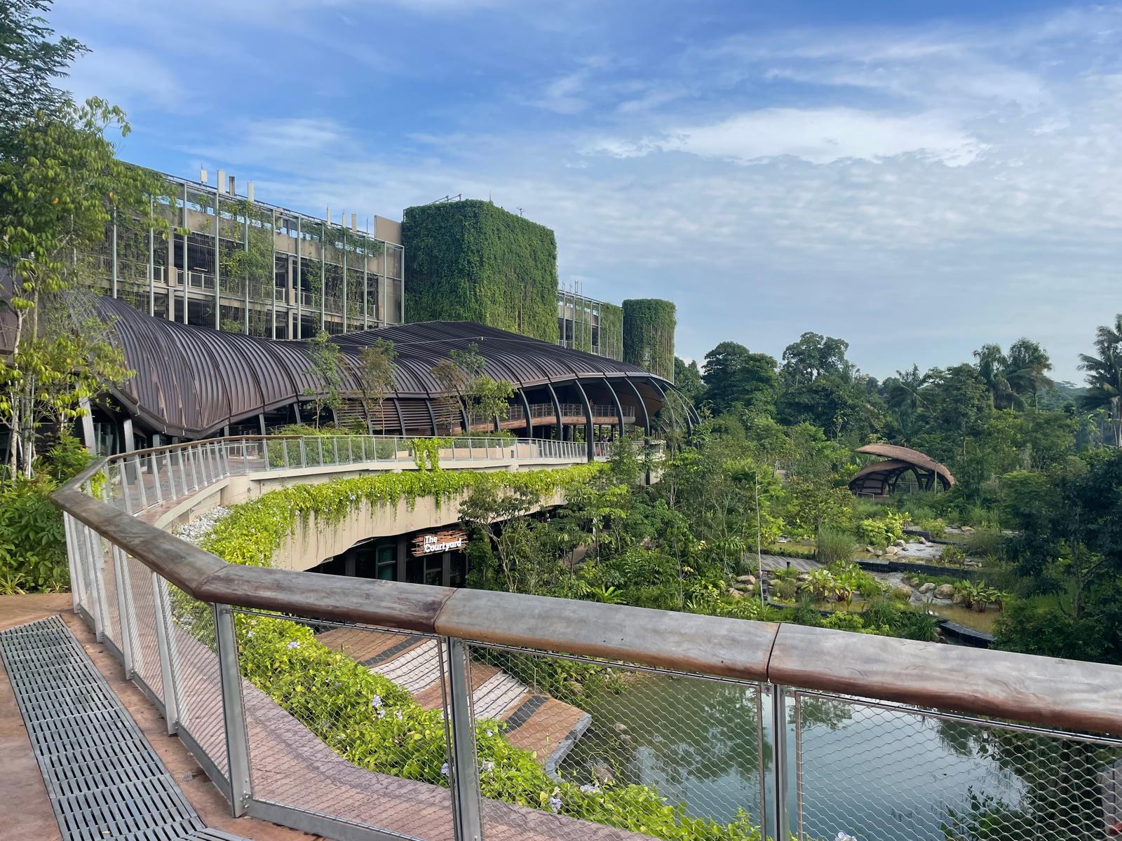 RCF Mandai.jpeg