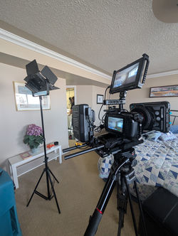 PXL_20250410_224508282.RAW-01.COVER