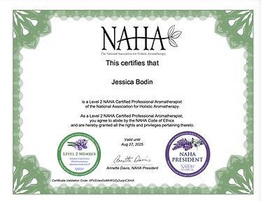 Screen Shot 2024-08-27 at 2.20.40 PM.png