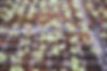 agriculture-1850891_1920.jpg