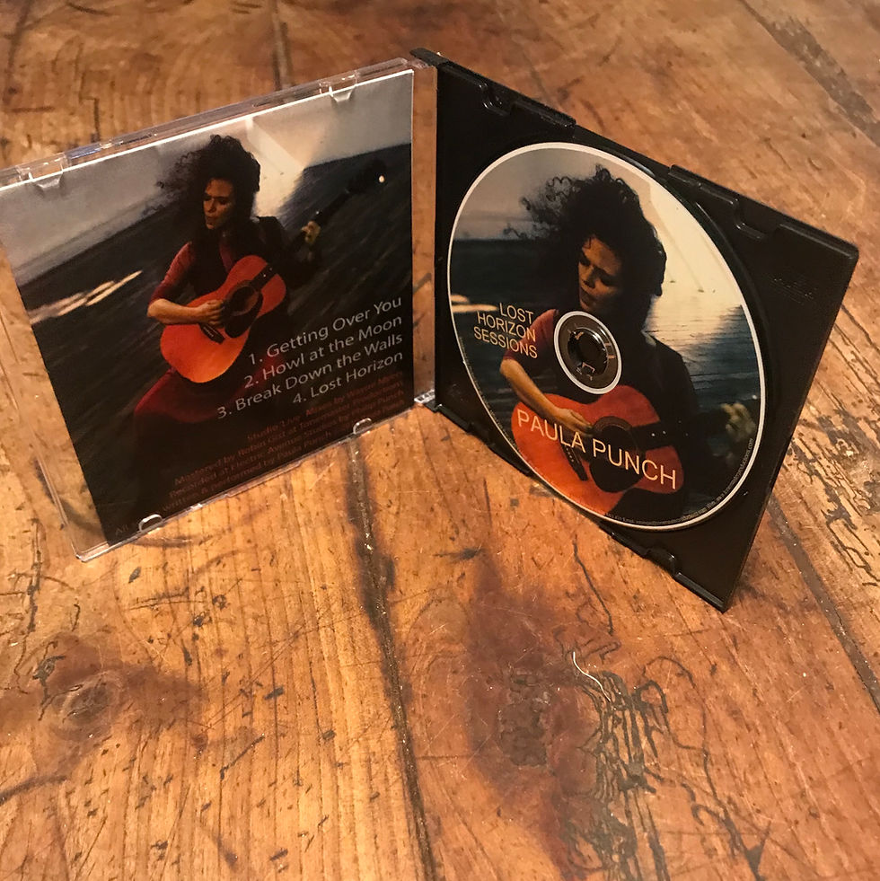 Thumbnail: "Lost Horizons Sessions" EP by Paula Punch