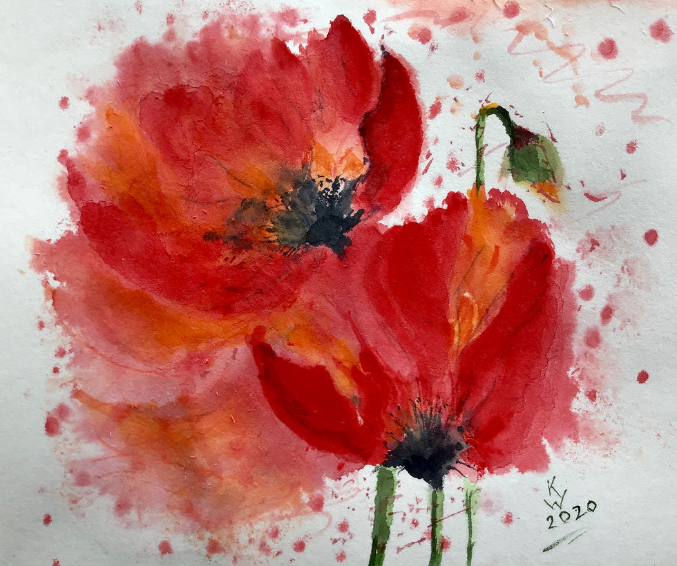 Poppies
