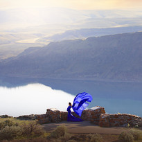 RoyalBlue382.jpg