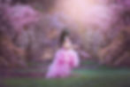 Princess, Cherry Blossom Photo Session