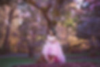 Princess, Cherry Blossom Photo Session