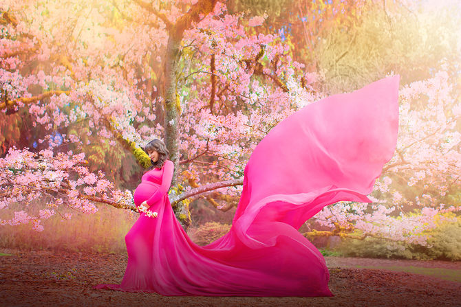 Cherry Blossom Maternity Photo Session at Washington Park Arboretum 2026