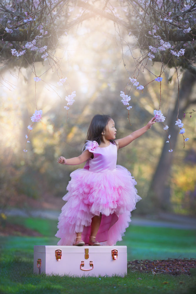 Princess, Cherry Blossom Photo Session