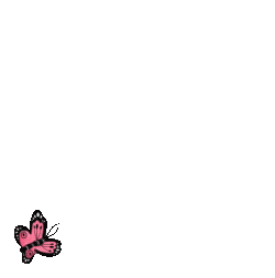 ButterflyLoop.gif