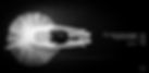 thumbnail__DSC4299 scritta.jpg