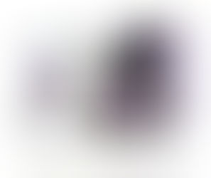 The C9 is a Fantastic Kick Start to a New You!