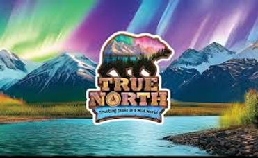 true north.jpg