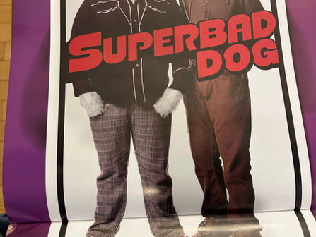 Dr Natalie's Events - November/December 2025