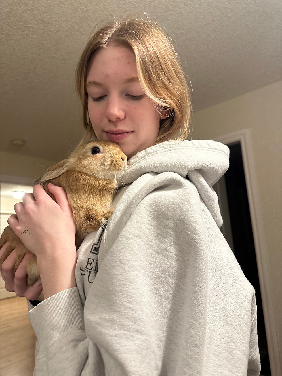 Why Rabbits Need Chiropractic Care: A Surprising but Vital Aspect of Their Well-being