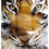 Thumbnail: Tiger Head Brush