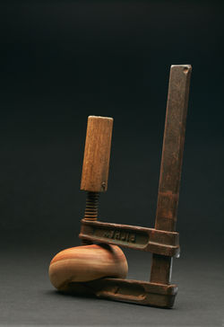 Lori by Pascal Proteau, photo by Acorn.2