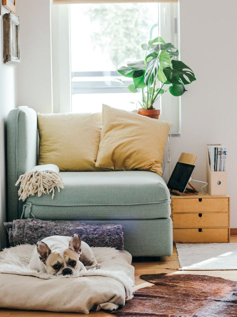A Step-by-Step Guide to Obtaining Your Real Estate License