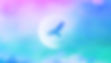 NIITOIYIS - WEBSITE IMAGE 01 (placeholder01).jpg