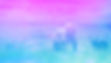 NIITOIYIS - WEBSITE IMAGE 01 (placeholder02).jpg