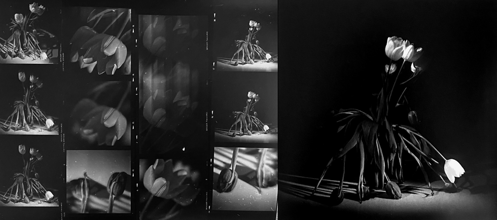 From Contact Sheet to Print