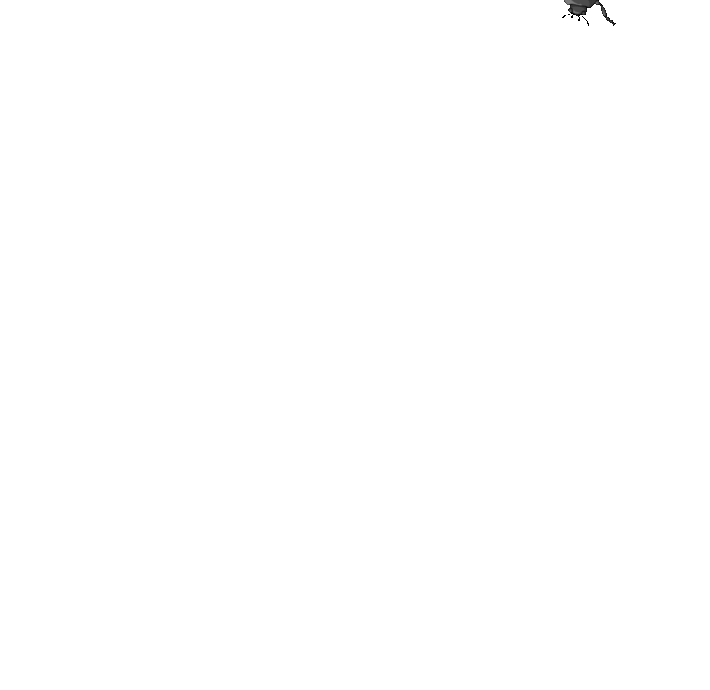 Webp.net-gifmaker.gif
