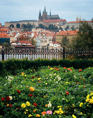 Prague in Summer | Prague Summer Ballet Workshop