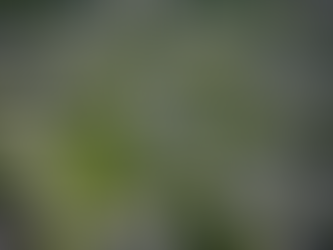 What Not to Do: Home Improvements with Low Return on Investment