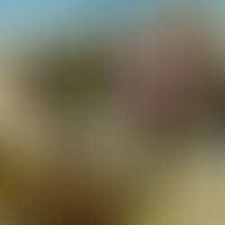 Thieves of America: How a continent was stolen