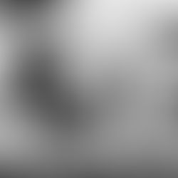 The History of Policing in America