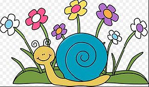 snail_04.jpg