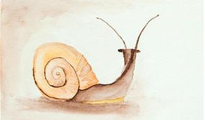 snail_22.jpg