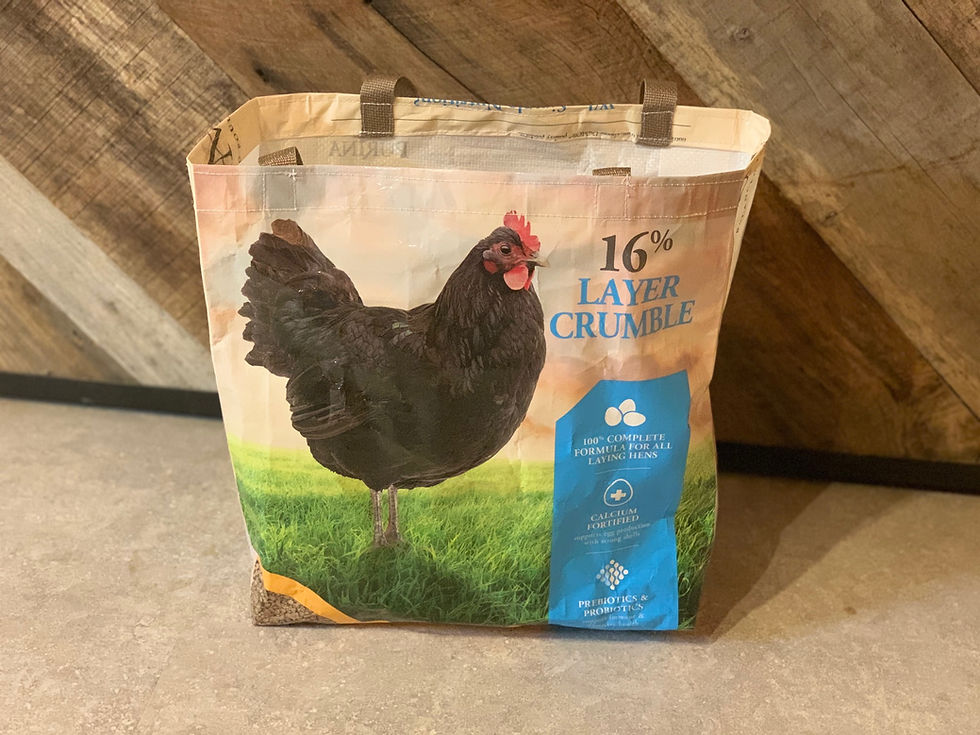 Thumbnail: Black Hen