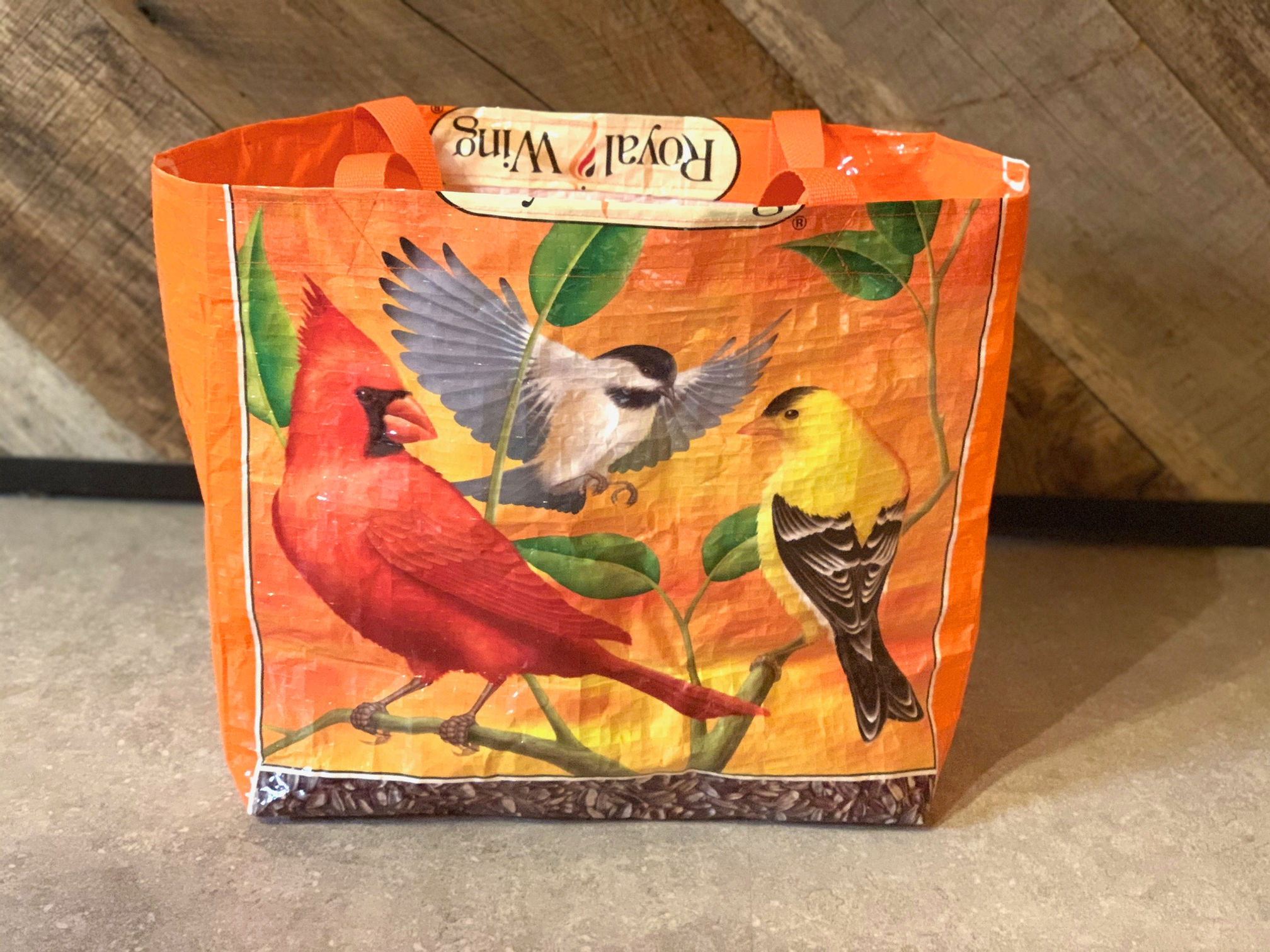 Colorful Birds on Orange background