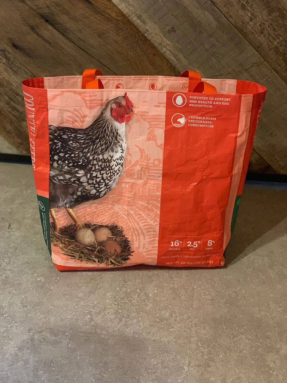 Thumbnail: B&W Chicken on Orange Bag