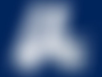 The Los Angeles Chargers