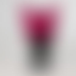 Give the People What They Want: Bring Out the Water Cannons