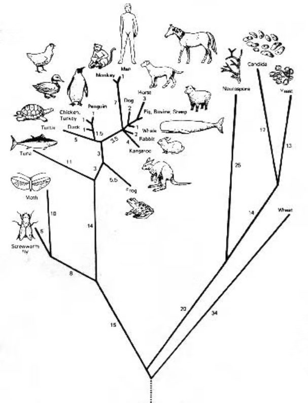 Did Religion Help Spread Homosexuality?