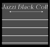 Jazzi Black Colt.png