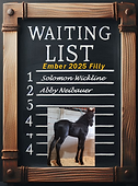Ember 2025 filly.png