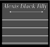 Alexis Black Filly.png