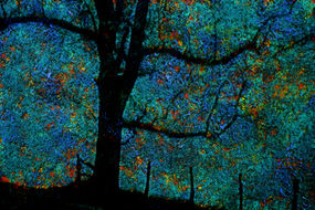 15  512 Camino de Santiago, André Burian 2017.jpg