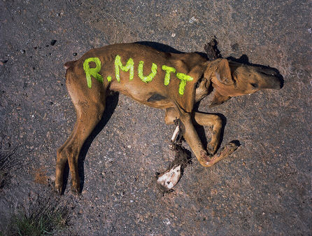 RMutt, Fotografia, André Burian 2003.jpg