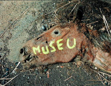 Museu, Fotografia, André Burian 2003.jpg