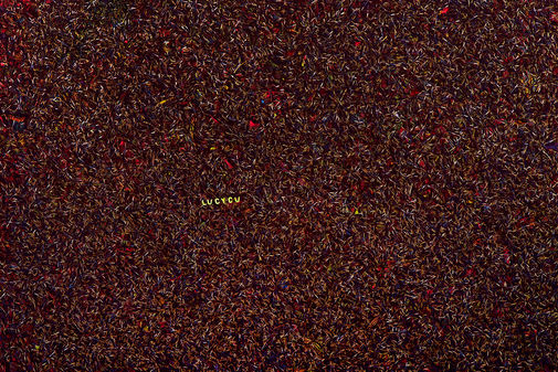 10 - Lucy , Fotografia, André Burian 2014.jpg