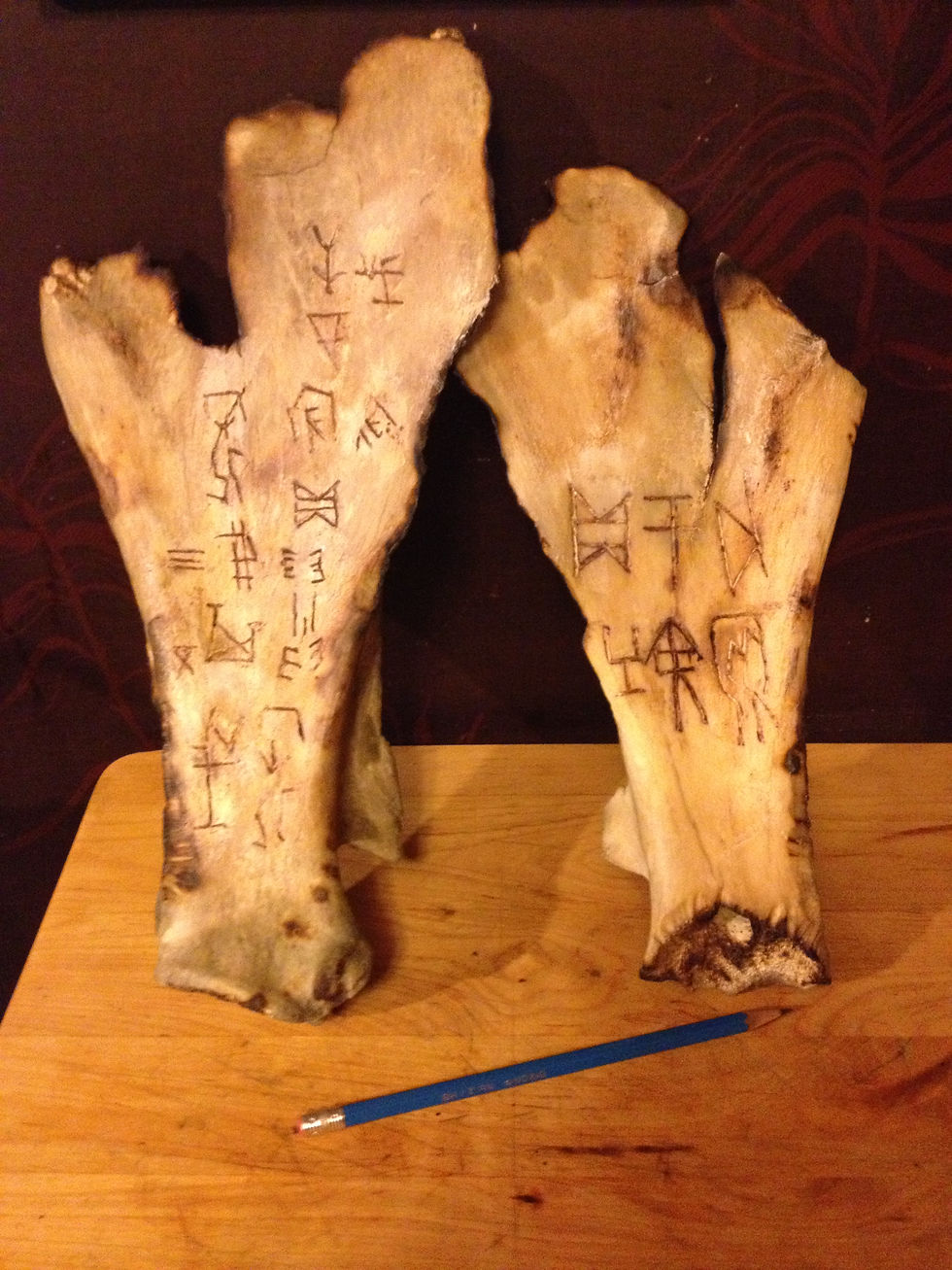 Oracle Bones