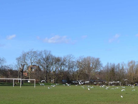 Springtime in London